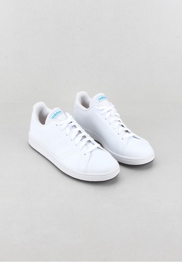 shoearena