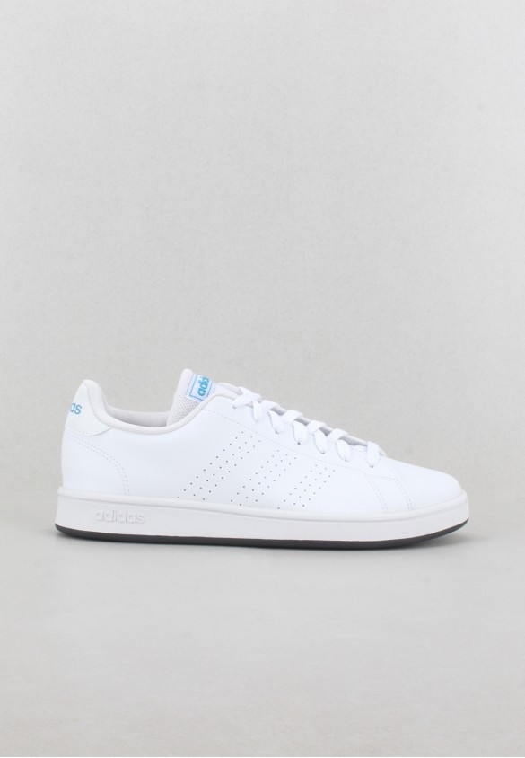 shoearena