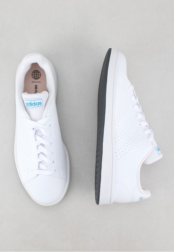 shoearena