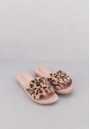 shoearena