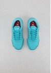 shoearena