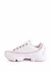 shoearena