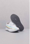 shoearena