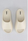 shoearena