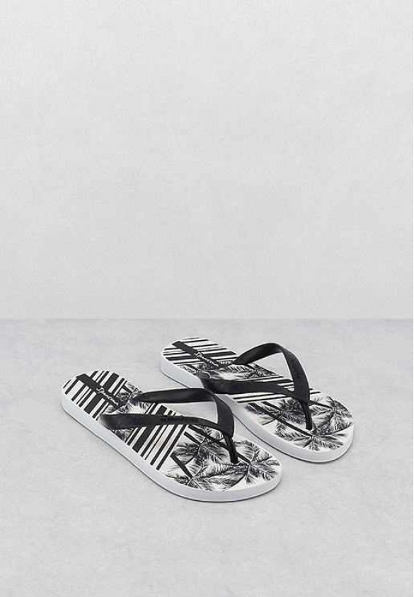 shoearena