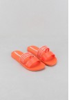 shoearena