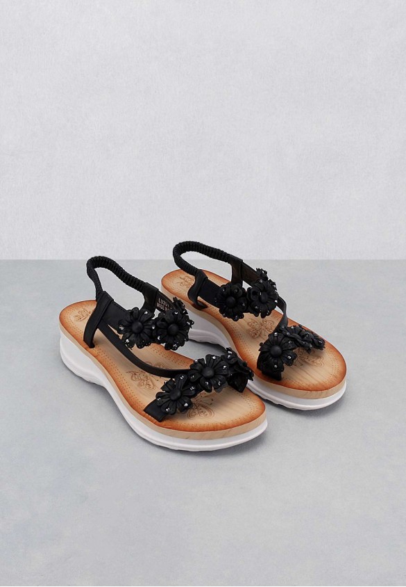 shoearena