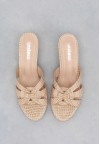 shoearena