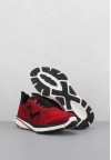 shoearena
