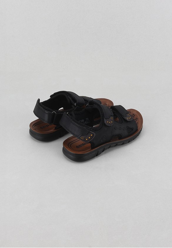 shoearena