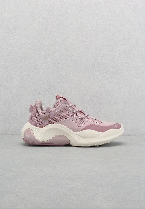 shoearena