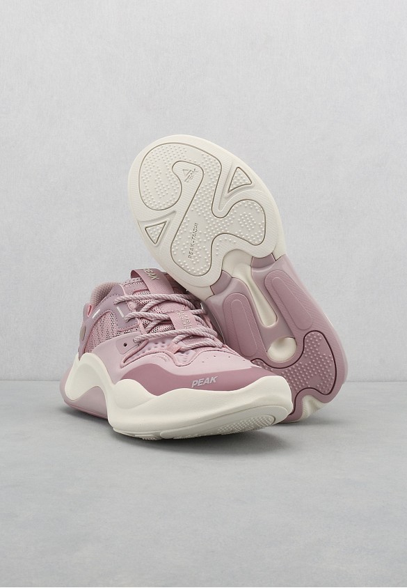 shoearena