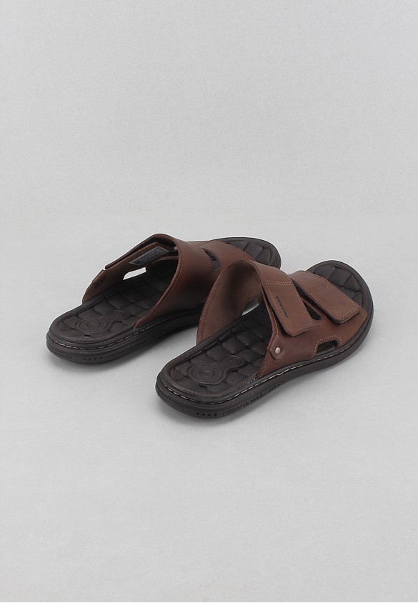 shoearena