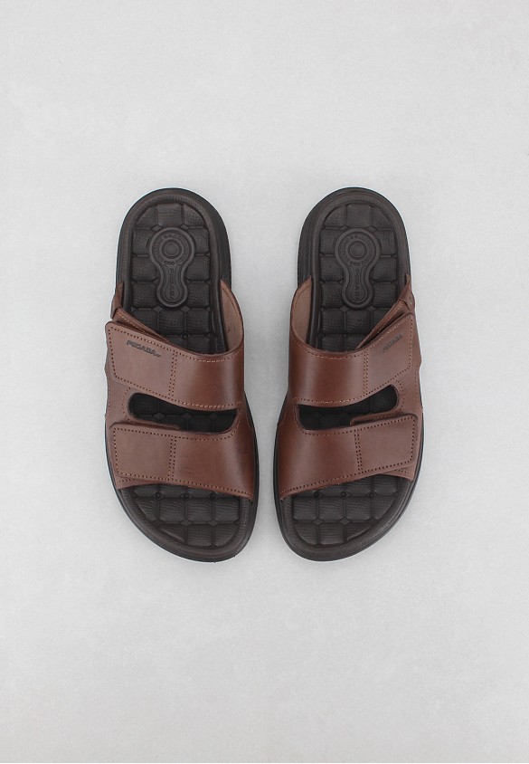 shoearena