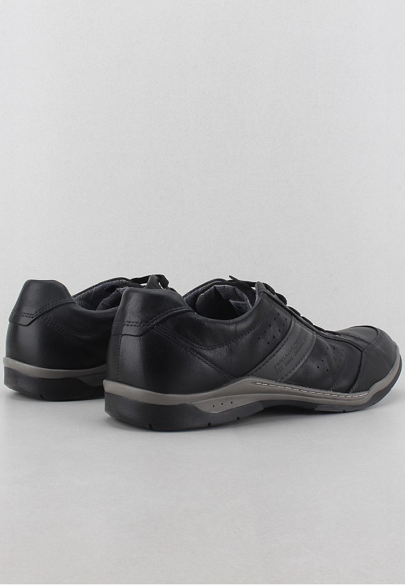 shoearena