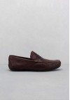 shoearena