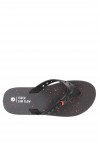 shoearena