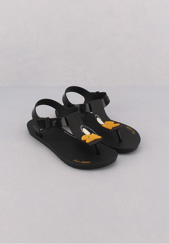 shoearena
