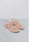 shoearena