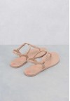 shoearena