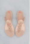 shoearena